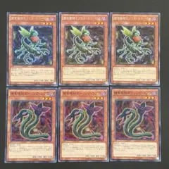 遊戯王　捕食植物オフリススコーピオ　ダーリングコブラ　各3枚