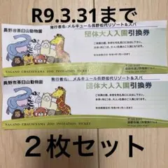 長野市茶臼山動物園 団体大人入園引換券 2枚セット