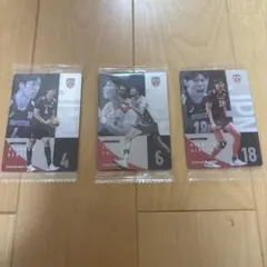 バレーボール日本代表 トレーディングカード 3枚セット