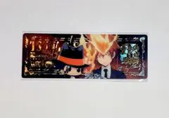 リボーン　くじプラ　リボーン&沢田綱吉　ホログラムチケット風カード