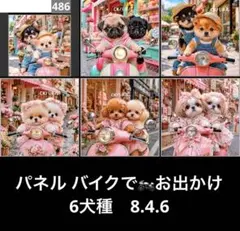 2026年最新】限定レアパネル 生地の人気アイテム - メルカリ