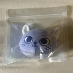 BOYNEXTDOOR プネクド　キーリング　ソンホ　ケッピ