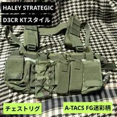 【セール中】1HALEY STRATEGIC PARTNERS D3CRタイプ