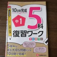 Item thumbnail for item 88075ee7-94a9-4d98-85d5-09afbea6559f