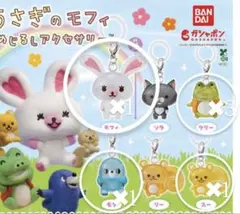 うさぎのモフィ　めじるしアクセサリー　リー・スー6個セット