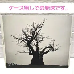2026年最新】sekai no owari 2010-2019の人気アイテム - メルカリ