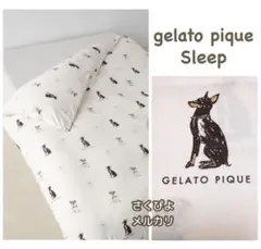 Item thumbnail for item 51b65691-9a43-4efd-a6ac-ef640cda8bfd