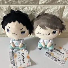 ハイキュー もちぴこぬいぐるみ 及川徹 岩泉一 ２種セット