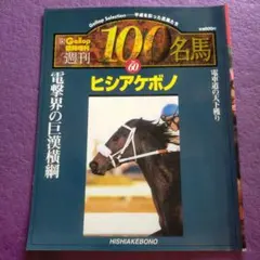 2026年最新】週刊100名馬の人気アイテム - メルカリ