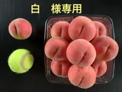 白 様専用ページ　天童産の桃(夏かんろ) 小玉3.5kg ご家庭用