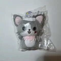 2025年最新】jochum チュララの人気アイテム - メルカリ