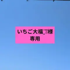 いちご大福¨̮♡⃛様専用のサムネイル