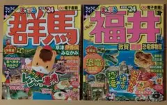 Item thumbnail for item 052c75f8-144c-4836-8785-6003c25d1857