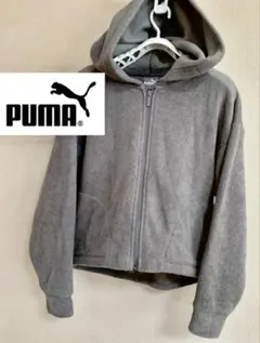 Item thumbnail for item 8dd8bf95-95c0-4aa0-896f-bdf45dd2aee1