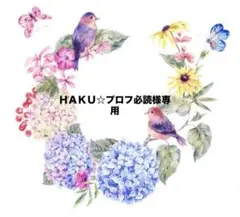 ＨＡＫＵ☆プロフ必読様専用♡