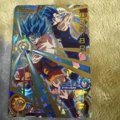 tcgcpk様 リクエスト 2点 まとめ商品