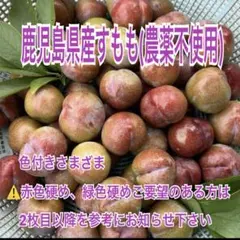 2026年最新】鹿児島 すももの人気アイテム - メルカリ