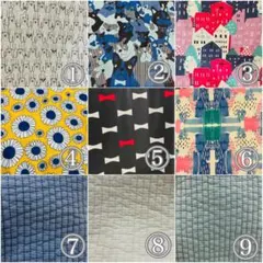 Item thumbnail for item ef6f7c72-337c-46aa-af0c-2e0c77875171