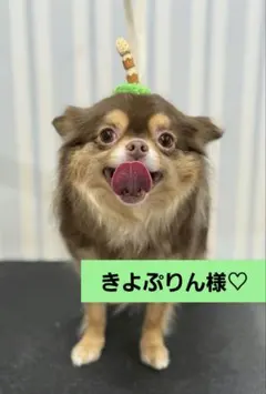 きよぷりん様♡ありがとうございます