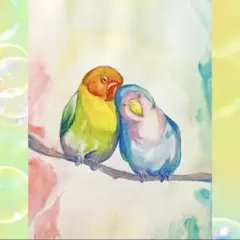 小鳥のイラスト 水彩画　手描き　原画一点もの　インコの絵