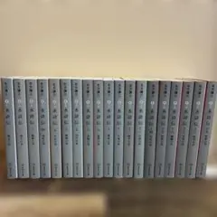 北方謙三 水滸伝 全19巻セット 集英社文庫 - メルカリ