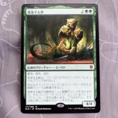 MTG 獣群の呼び声 日本語1枚 TSB版 - メルカリ