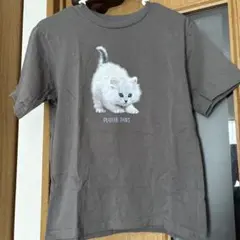 UT ユニクロ　tシャツ　猫　グレー