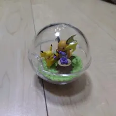 ポケモン テラリウムコレクション14 ピカチュウ & ライチュウ