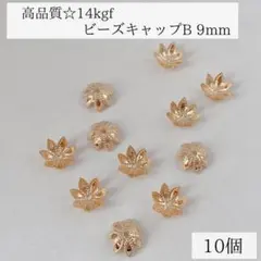 Item thumbnail for item d5acc69f-d97e-426d-8093-c0e548458f05