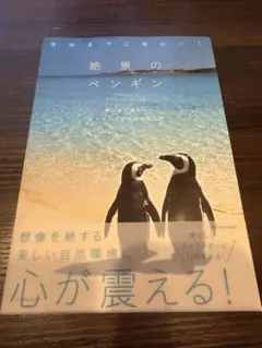 2026年最新】色づく世界の明日から なないろのペンギンの人気アイテム
