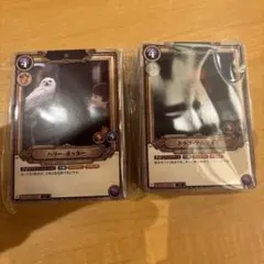 ハリーポッターTCG デッキ カードまとめセット カードゲーム 体験会 特典