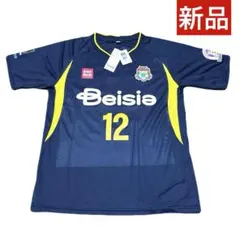 美品 ザスパ草津 ユニフォーム 2007年 ホーム 長袖 L ザスパ群馬 美品 ザスパ草津 ユニフォーム 2007年 ホーム 長袖 Lサイズ