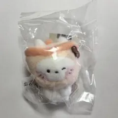 NCT WISH ユウシ ぬい POCKET WISH DOLL バブルニャン - メルカリ