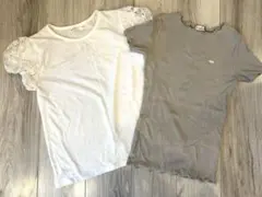 半袖2点セット