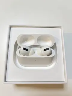 AirPods Pro 第1世代 本体 片耳ノイズありのサムネイル