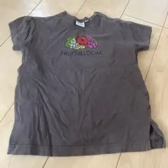 FRUIT of the LOOM フルーツTシャツ 95のサムネイル