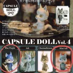 CAPSULE DOLL Vol.4 Blue Purple Mint Ash
