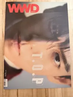 Quip Magazine DX00003 付録CD付Syrup16g - メルカリ