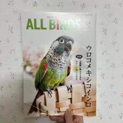 ALL BiRDS vol.8(2016年4月号)