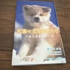 Item thumbnail for item 444cb2ff-455b-4083-b562-a24739d9705b