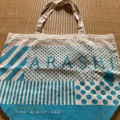 Item thumbnail for item d49c4586-3a00-46d9-9488-d2c6d8da5e46