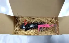 デプス スリザーラット - メルカリ