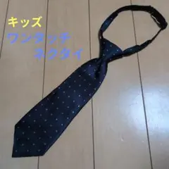 Item thumbnail for item 864e0992-0bcb-4e85-a0f8-59ac2908ffbe