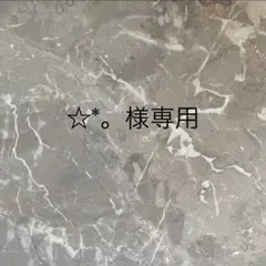 ☆*。様 専用商品