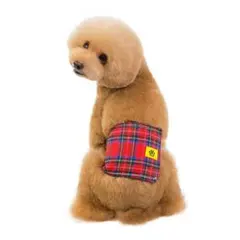 Item thumbnail for item bc26c570-29f4-4d94-bff0-bed87327f5c1