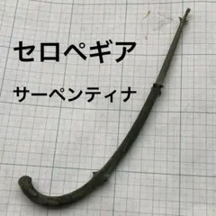 2026年最新】セロペギアの人気アイテム - メルカリ