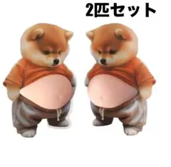 おなか　ぷにぷにシール　柴犬　犬　わんちゃん　3D 立体　ステッカー　お腹　ヘソ