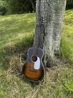 Silvertone H604ヴィンテージ1961年アコースティックギター - メルカリ