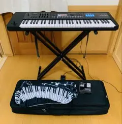 2025年最新】roland juno ケースの人気アイテム - メルカリ