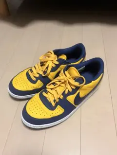 NIKE TERMIOATOR LOW OG us11 - メルカリ